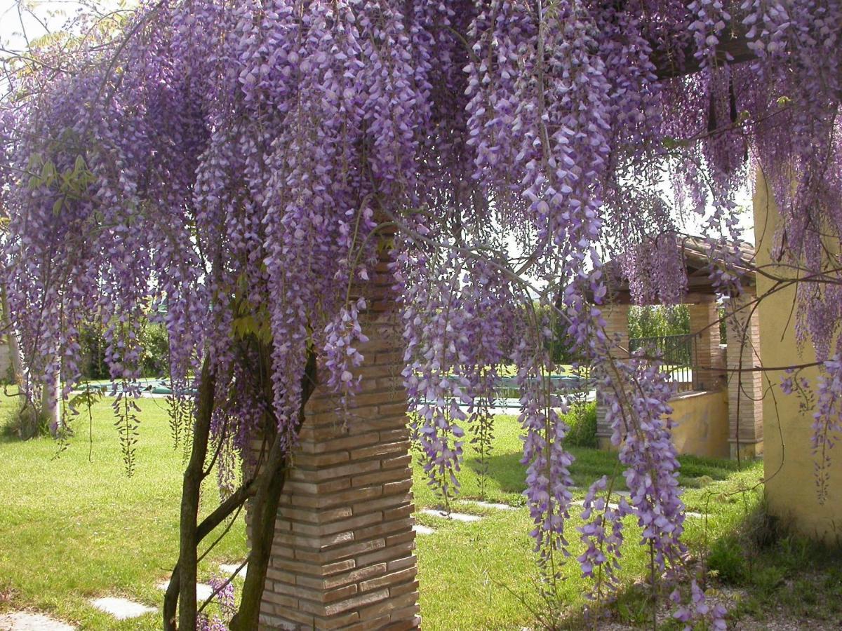 Casavacanze Sant'Eugenia Атилиано Екстериор снимка