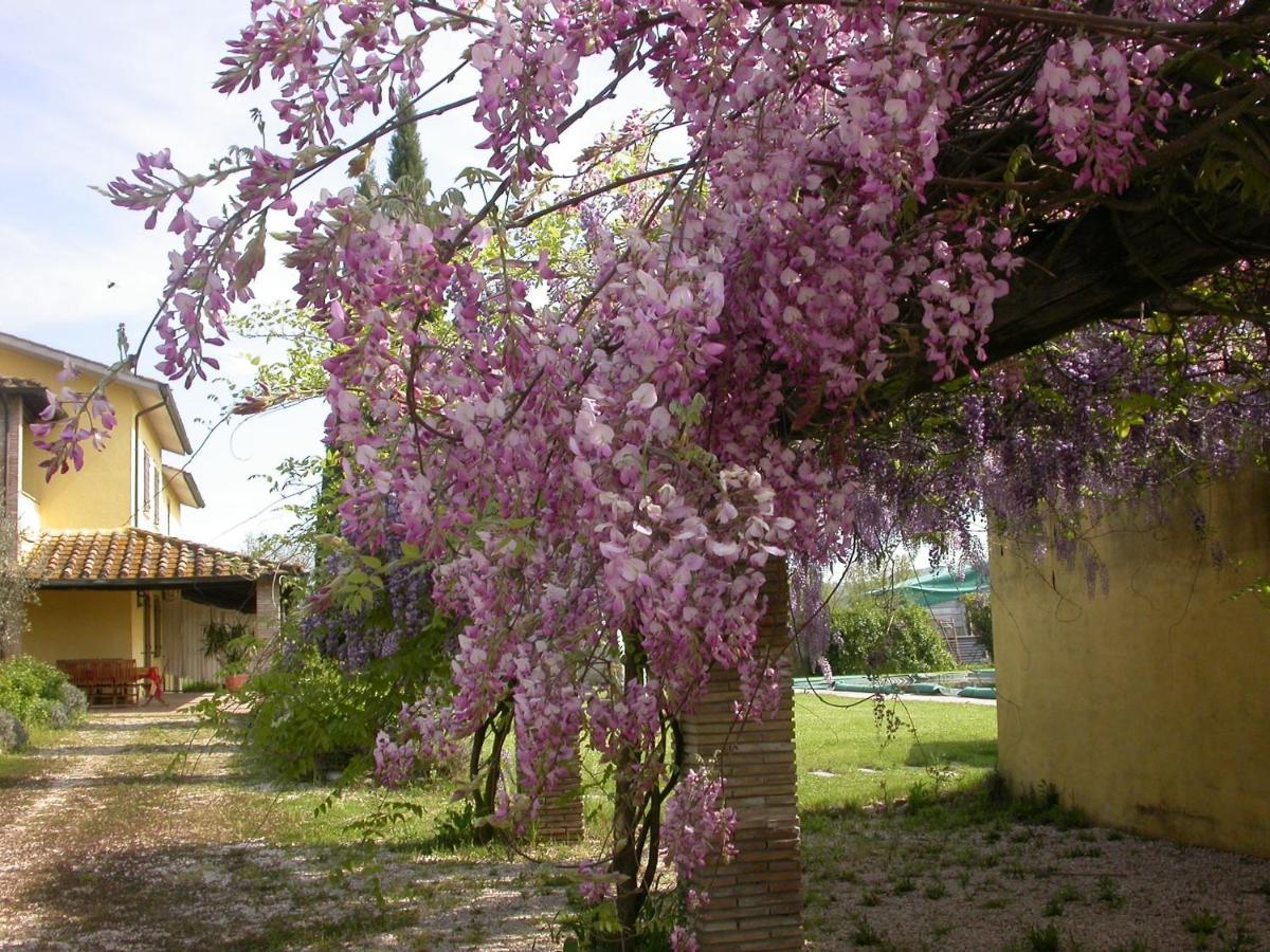 Casavacanze Sant'Eugenia Атилиано Екстериор снимка