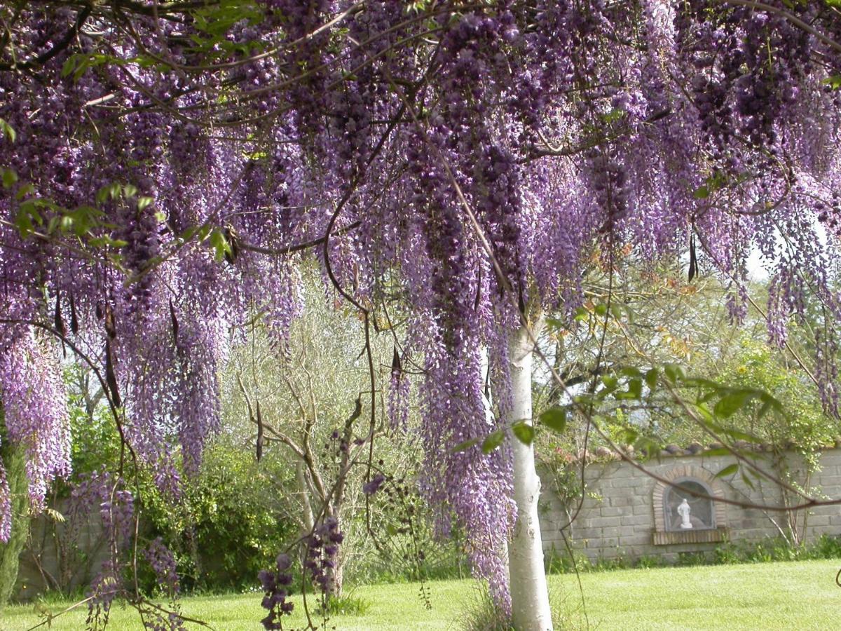 Casavacanze Sant'Eugenia Атилиано Екстериор снимка